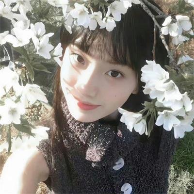 赛马娘芦毛灰姑娘